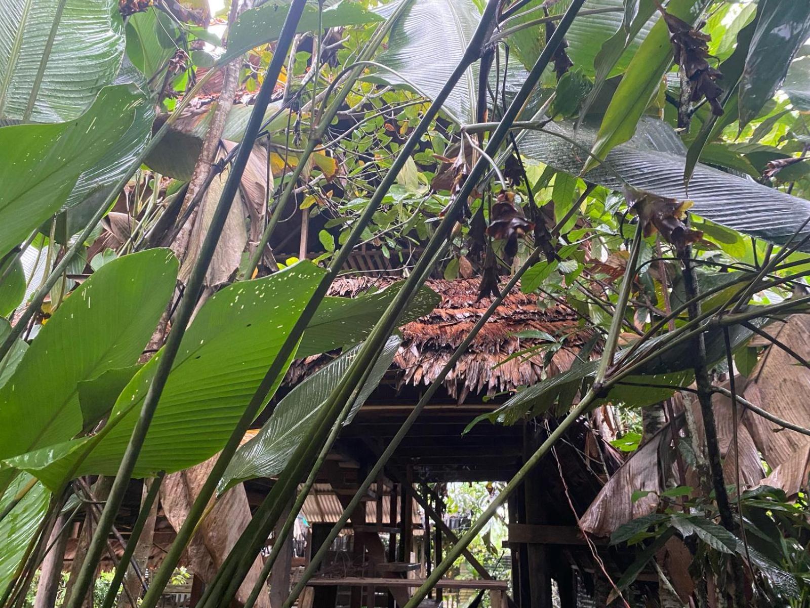 Xingu Camping Site Leticia Buitenkant foto
