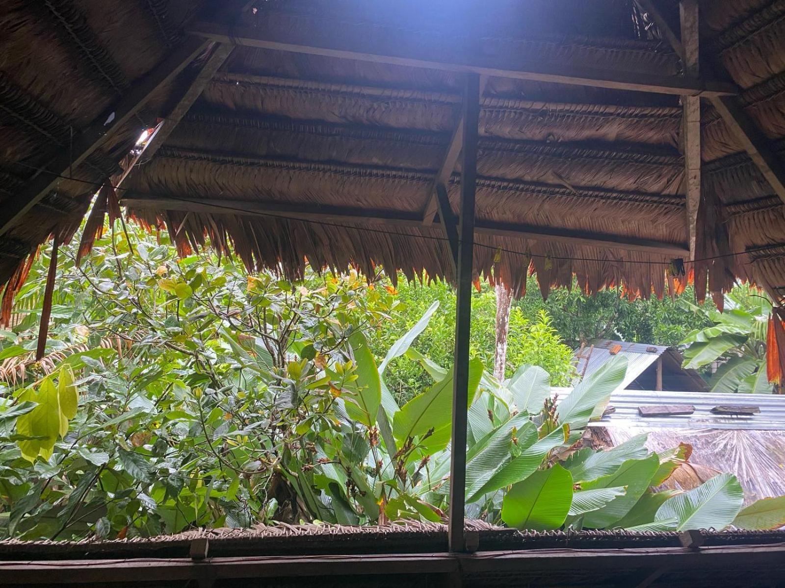 Xingu Camping Site Leticia Buitenkant foto