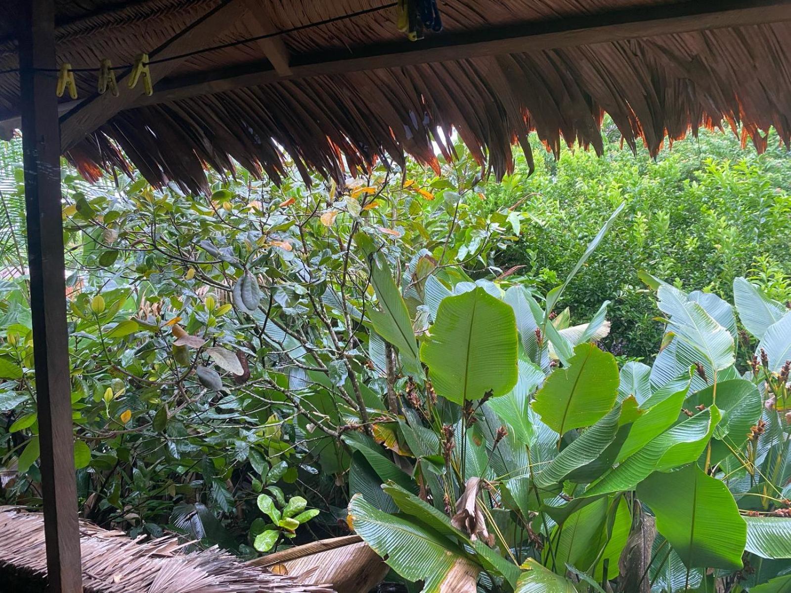 Xingu Camping Site Leticia Buitenkant foto