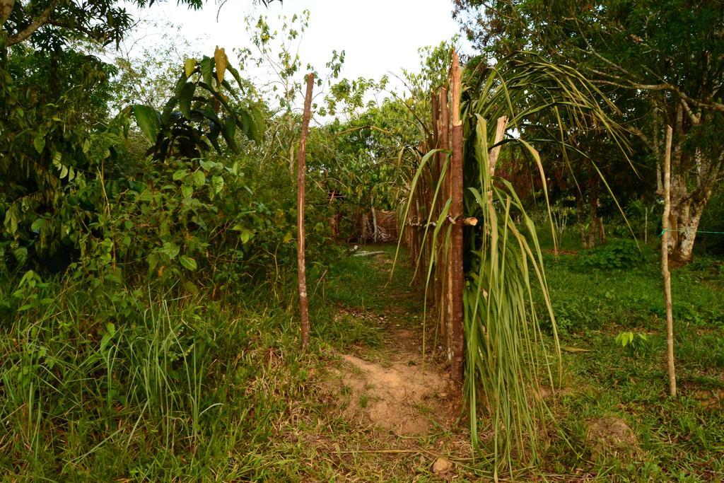 Xingu Camping Site Leticia Buitenkant foto