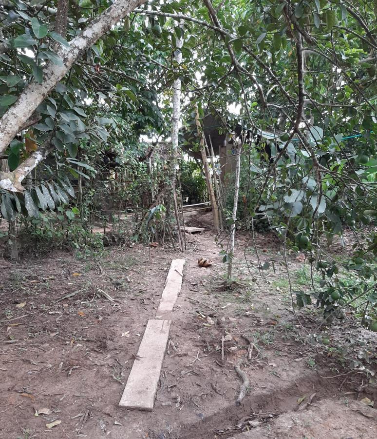 Xingu Camping Site Leticia Buitenkant foto