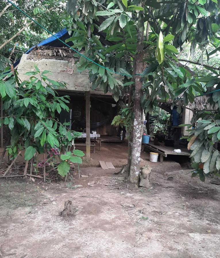 Xingu Camping Site Leticia Buitenkant foto