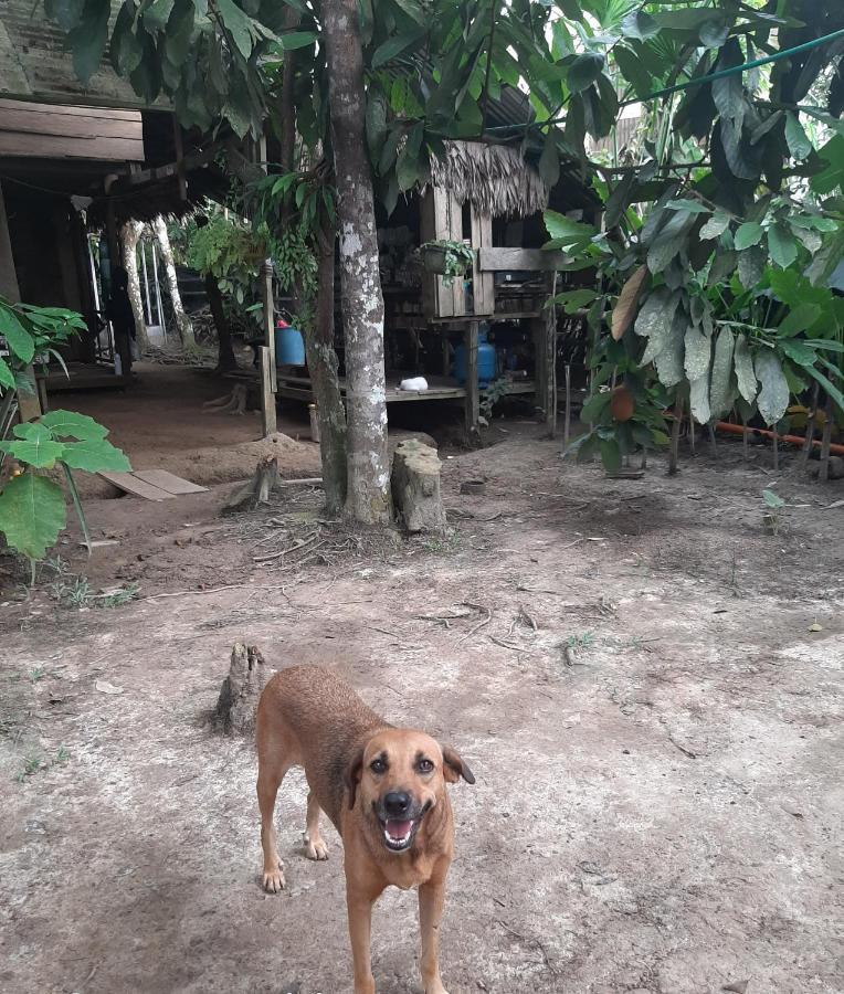 Xingu Camping Site Leticia Buitenkant foto
