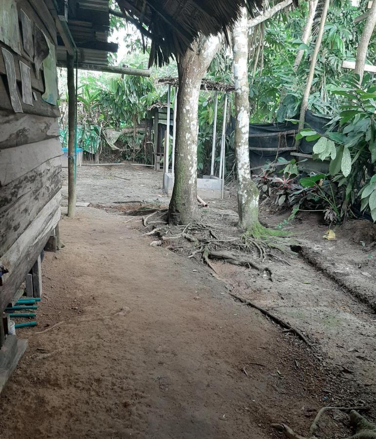 Xingu Camping Site Leticia Buitenkant foto